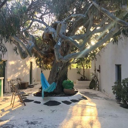 Patio II Studio At Finca La Asomada  Dış mekan fotoğraf